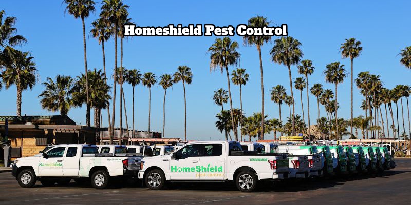 What is homeshield pest control? 